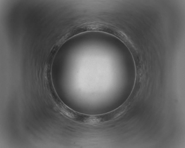 X0000083000217200702160058