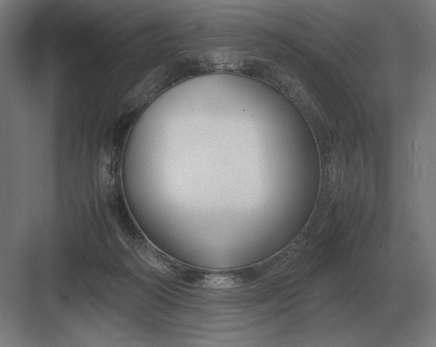 X0000083000218200702160058