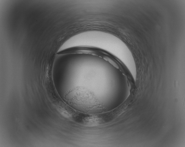 X0000083000219200702160058