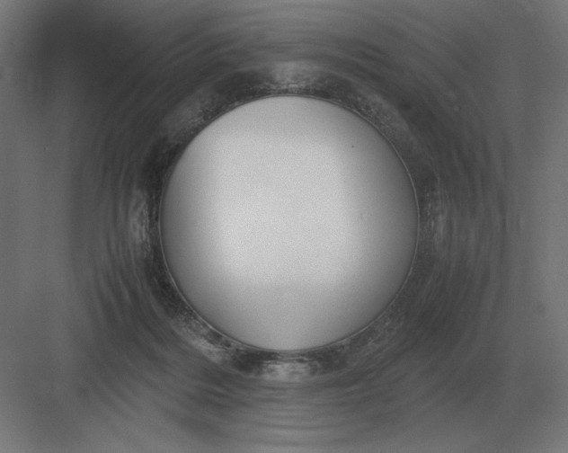 X0000083000220200702160058