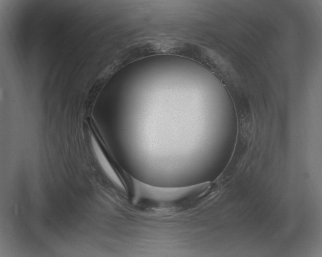 X0000083000221200702160058