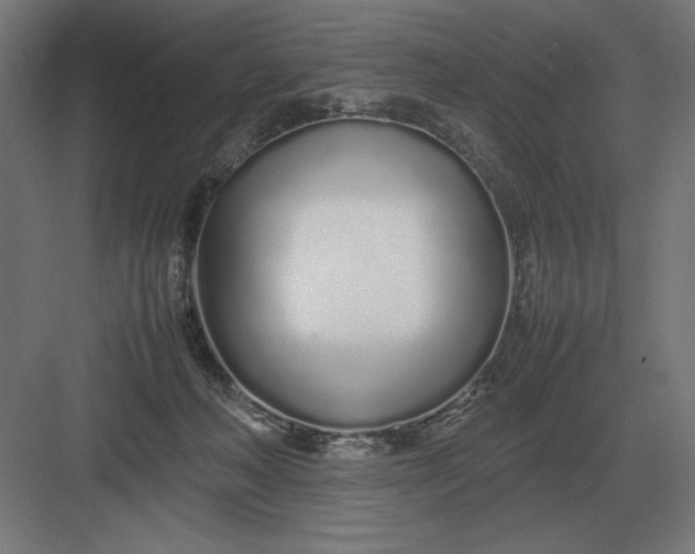 X0000083000222200702160058