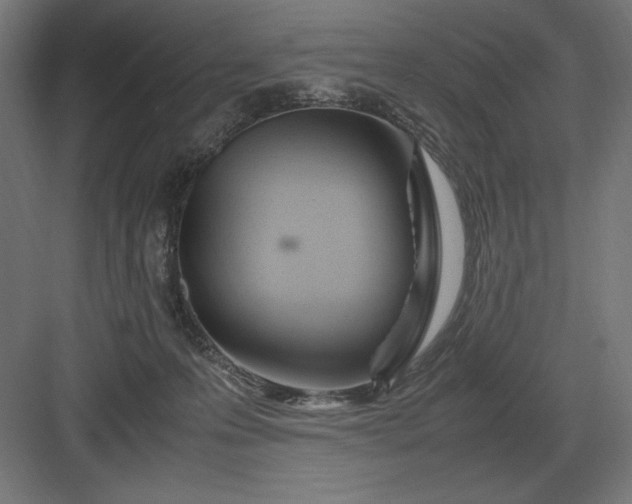 X0000083000223200702160058