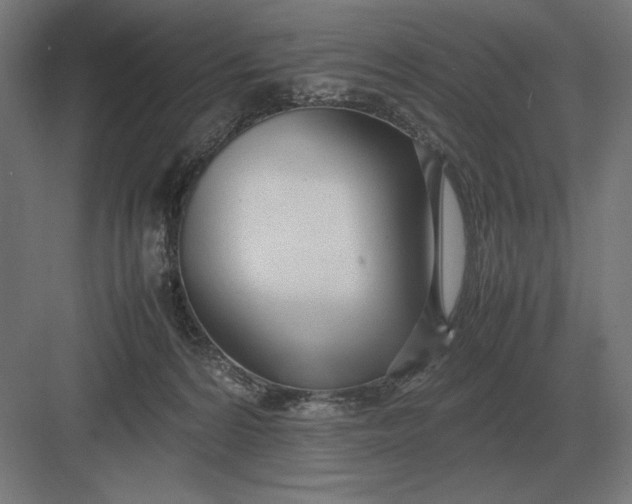 X0000083000224200702160057