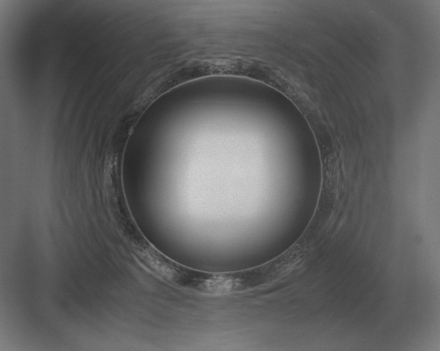 X0000083000225200702160057