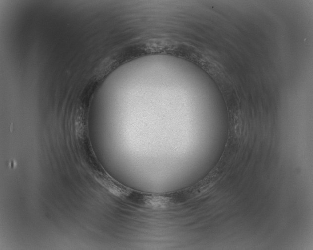 X0000083000226200702160057