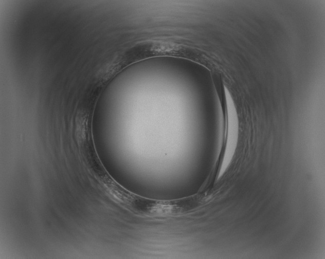 X0000083000227200702160057