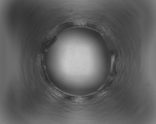 X0000083000229200702160057