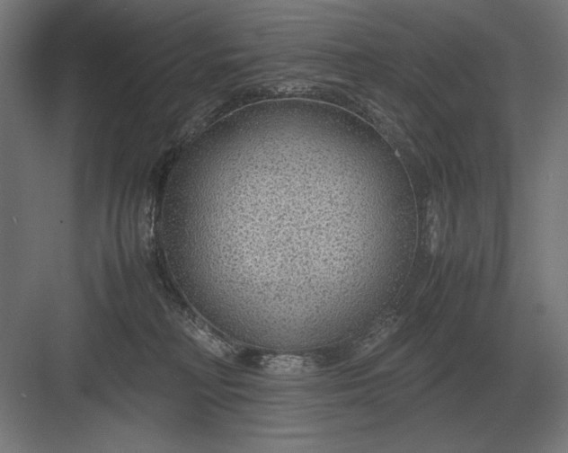 X0000083000230200702160057