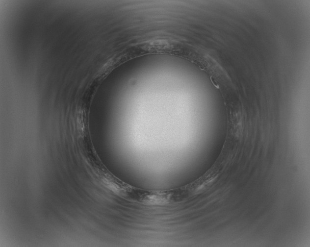 X0000083000232200702160057