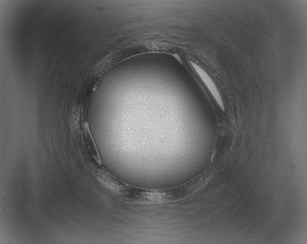 X0000083000233200702160057