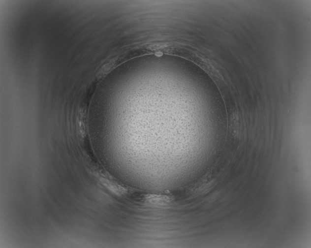 X0000083000234200702160057