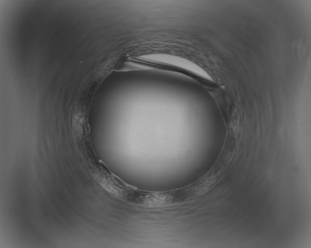 X0000083000235200702160057