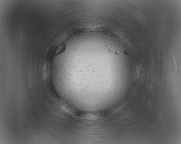 X0000083000236200702160057