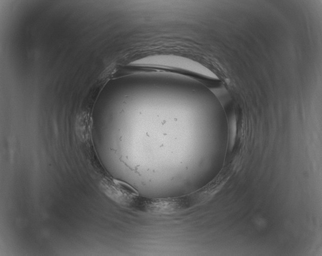 X0000083000237200702160057