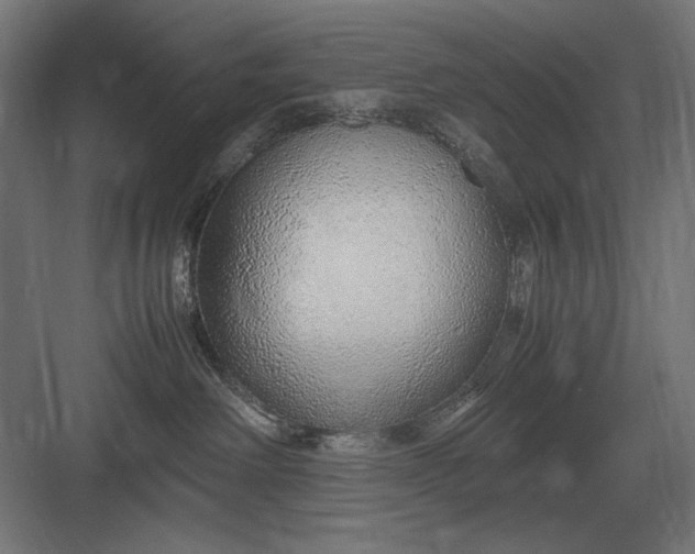 X0000083000238200702160057