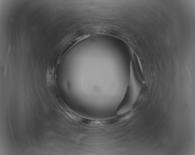 X0000083000239200702160057