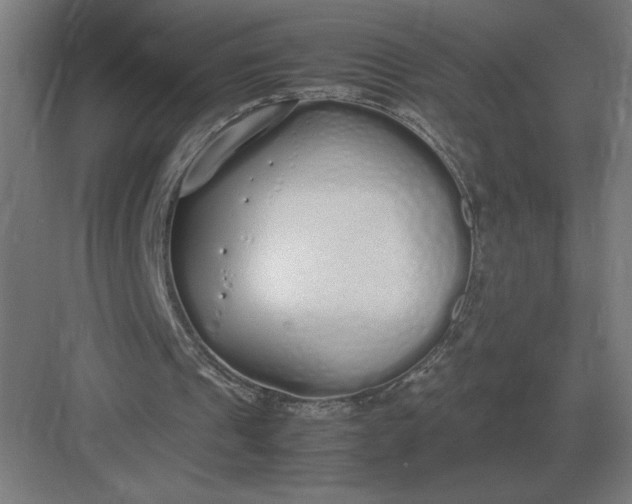 X0000083000241200702160056