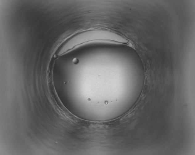 X0000083000242200702160056