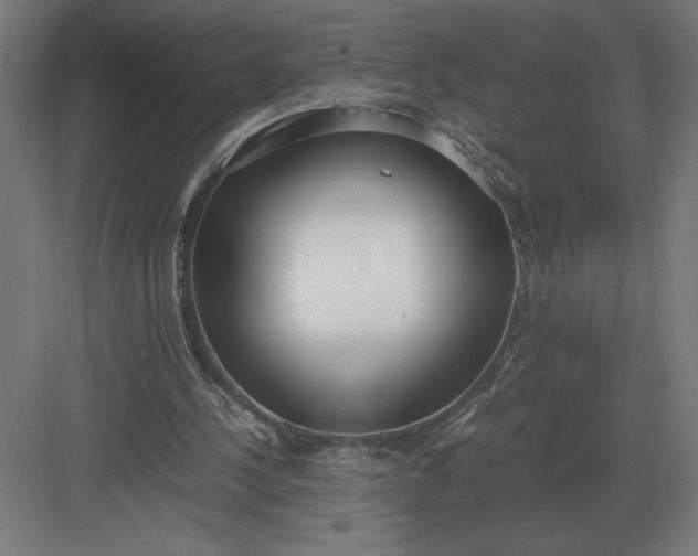 X0000083000244200702160056