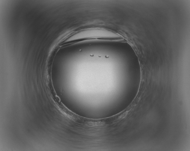 X0000083000245200702160056