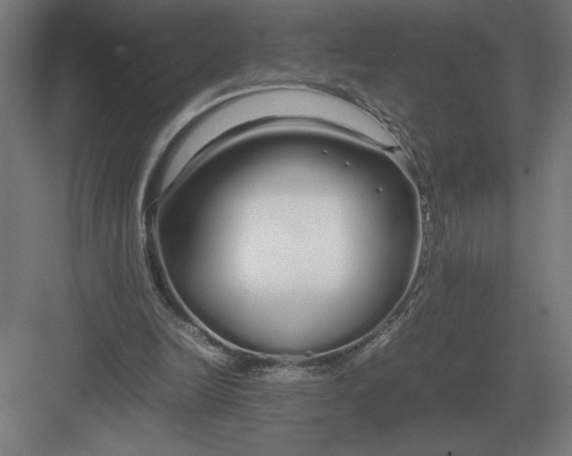 X0000083000246200702160057