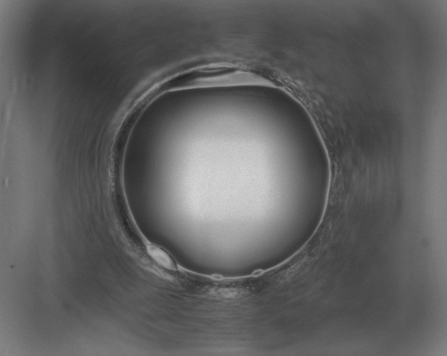 X0000083000247200702160057