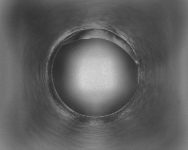 X0000083000248200702160057