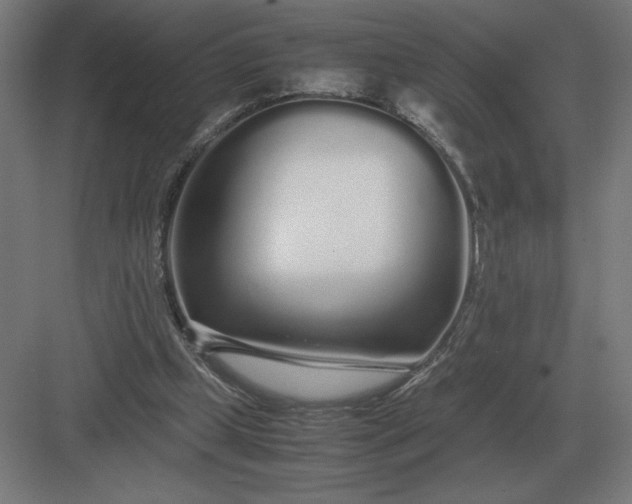 X0000083000249200702160057