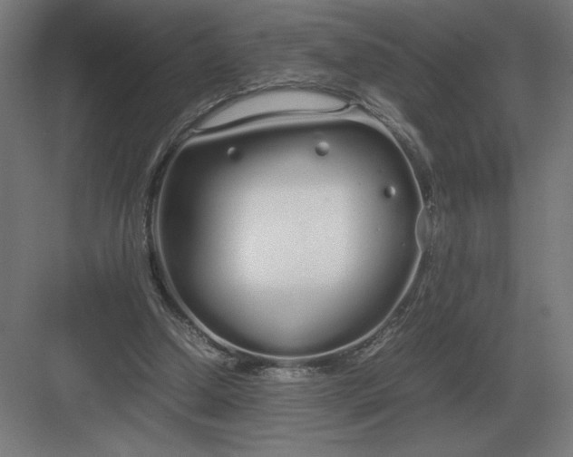 X0000083000250200702160057