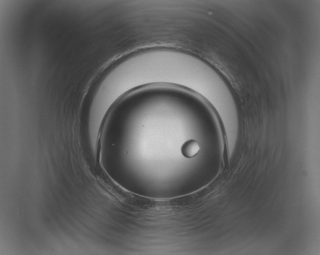 X0000083000252200702160057