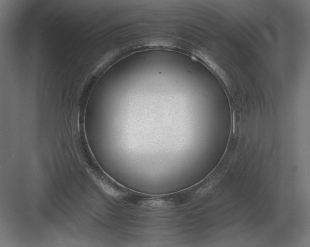 X0000083000253200702160057