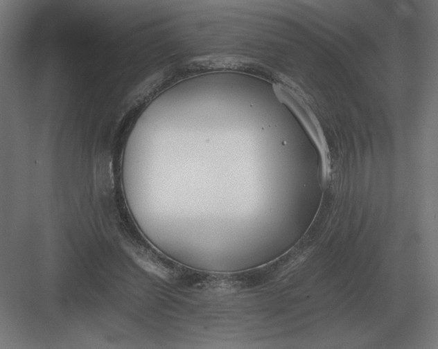 X0000083000254200702160057