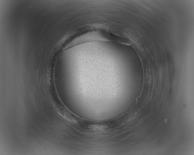 X0000083000255200702160057