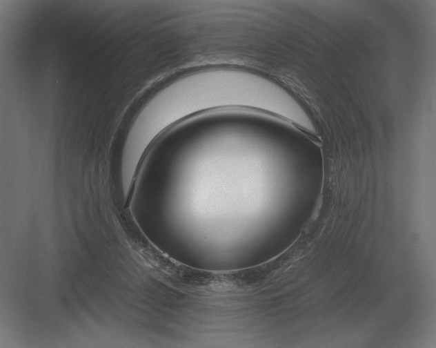 X0000083000256200702160057