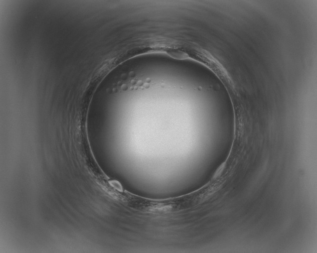 X0000083000257200702160057