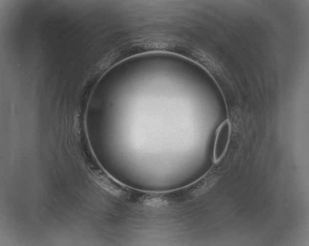 X0000083000258200702160057