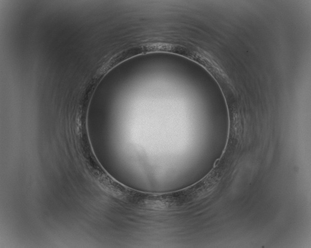 X0000083000259200702160057