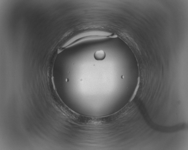 X0000083000260200702160057