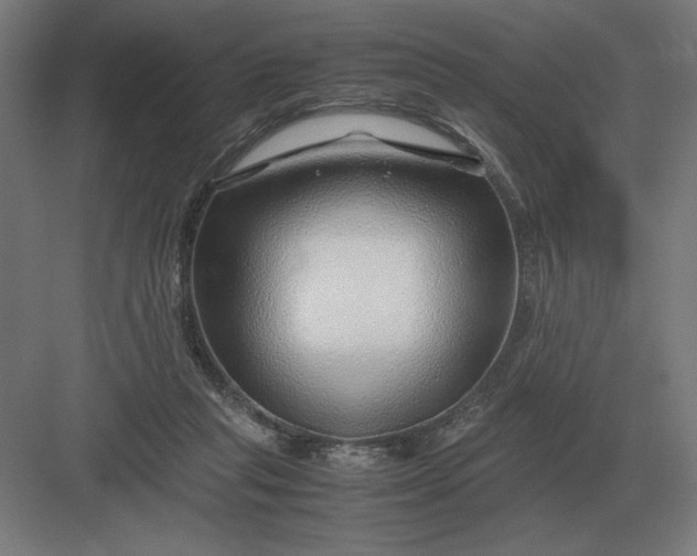 X0000083000261200702160057