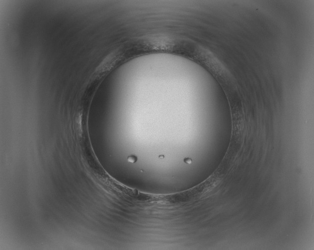 X0000083000262200702160057