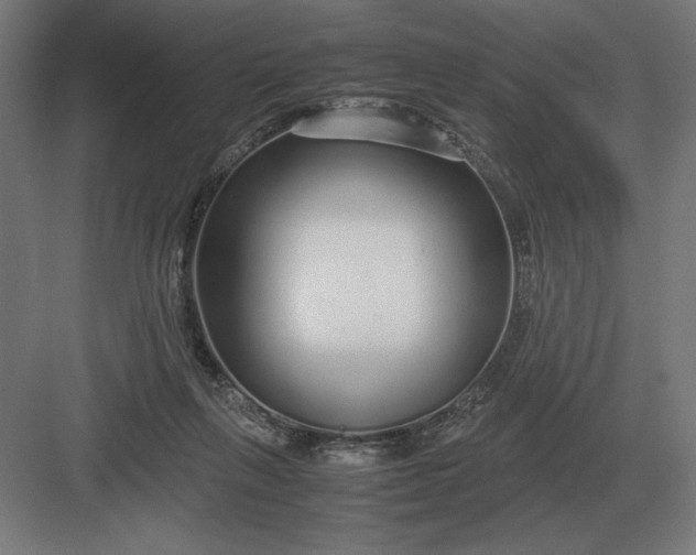 X0000083000263200702160057