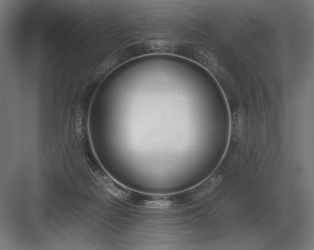 X0000083000266200702160057