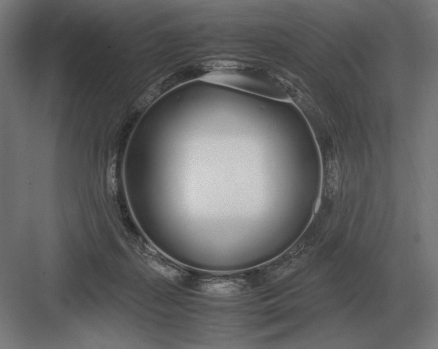 X0000083000267200702160057