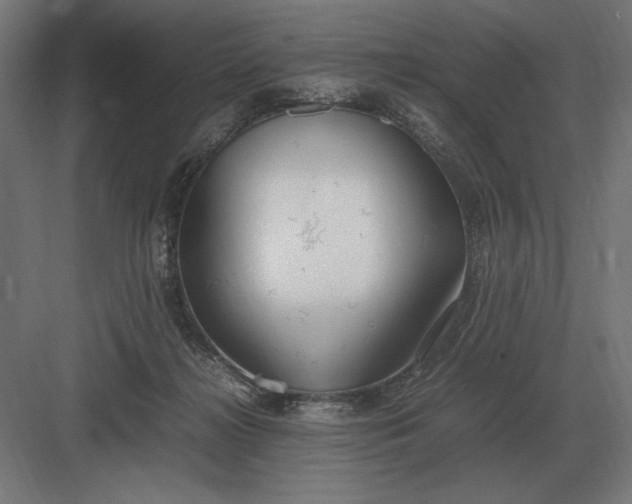 X0000083000268200702160057