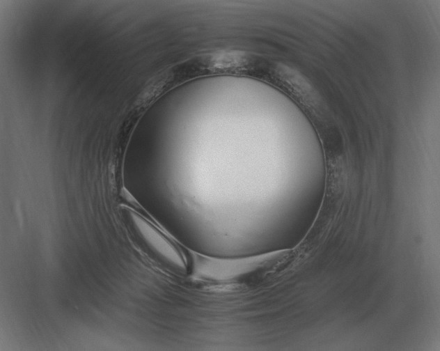 X0000083000269200702160057