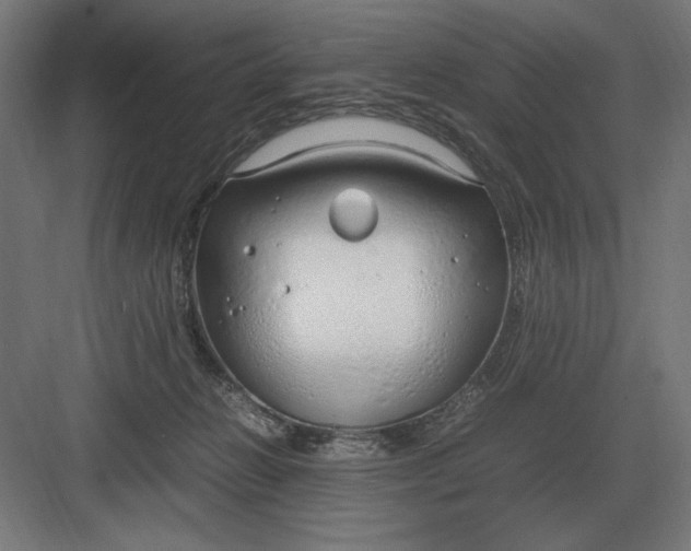 X0000083000270200702160057