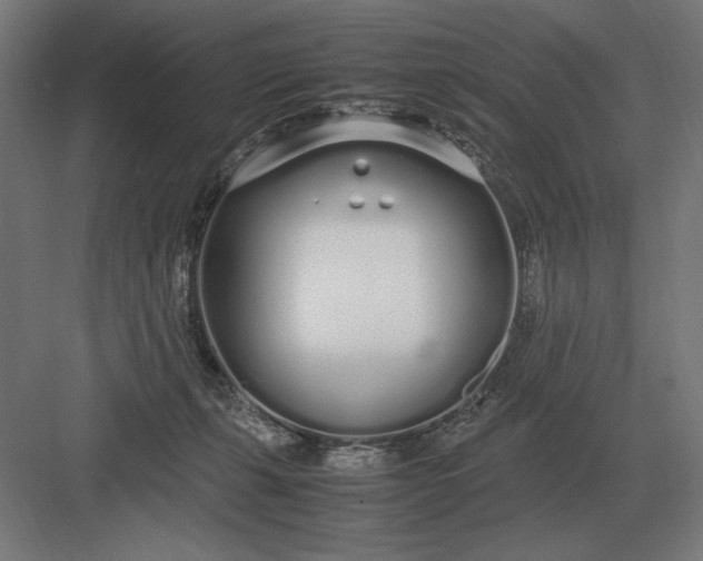 X0000083000271200702160057