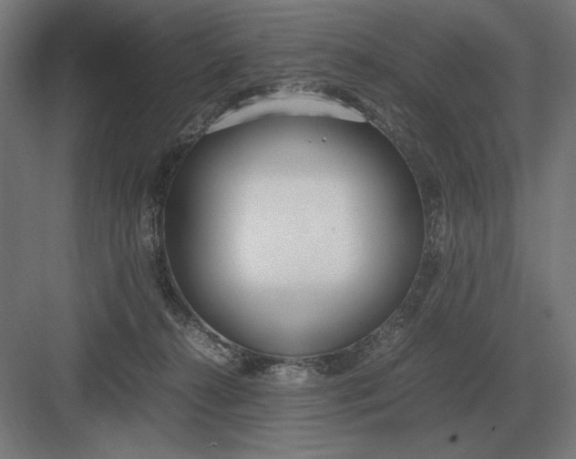 X0000083000272200702160057