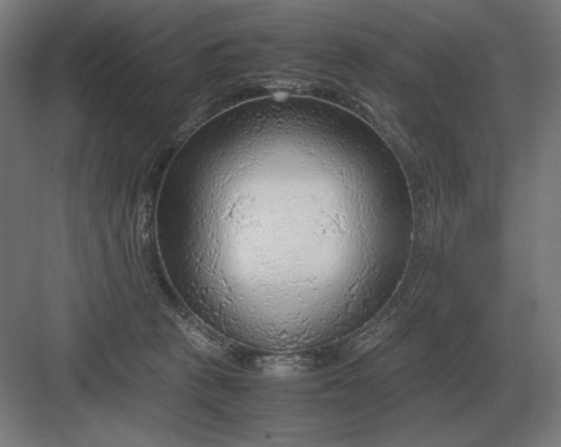 X0000083000273200702160057